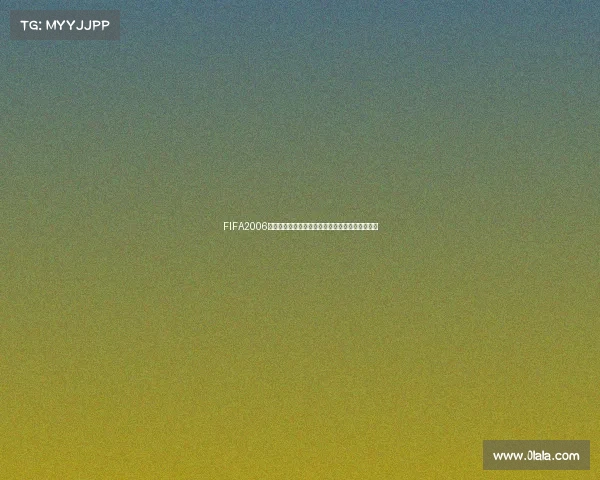 FIFA2006世界杯汉化全解析与经典回顾指南制作与玩家记忆